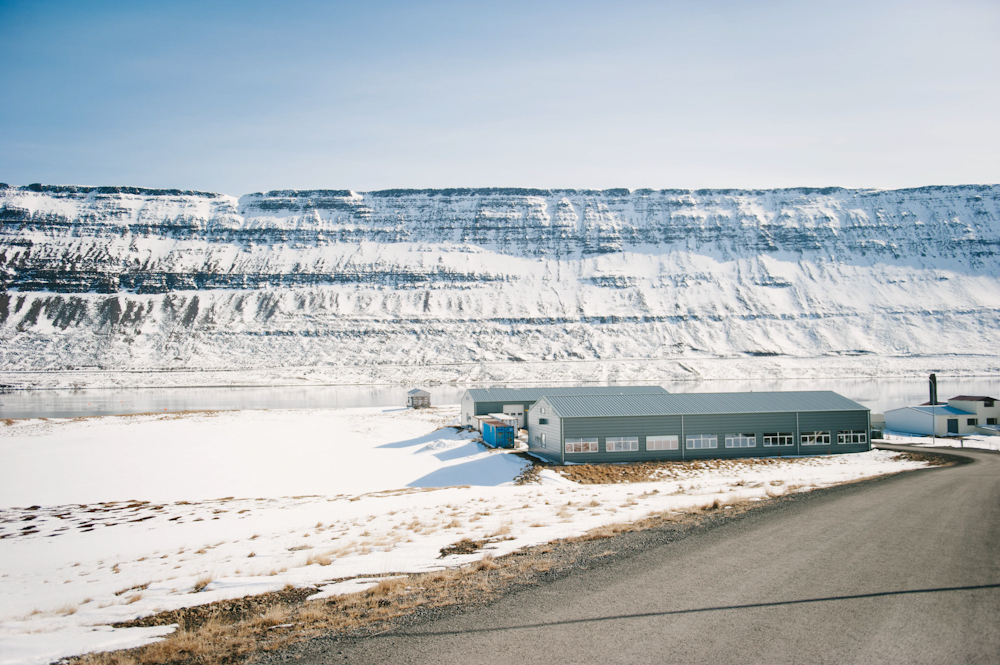 Daring Wanderer Photography - Daring Wanderer - Iceland - Iceland Photographer - Iceland Wedding Photographer - Travel - Iceland Travel Photographer - Iceland Travel Photography - Reykjavik, Iceland - Ísafjörður - Suðureyri - Flateyri, Súðaví­k - Hnifsdalur - Bolumgarvik - Travel Photography - Iceland Lifestyle Session - Iceland Lifestyle Photography