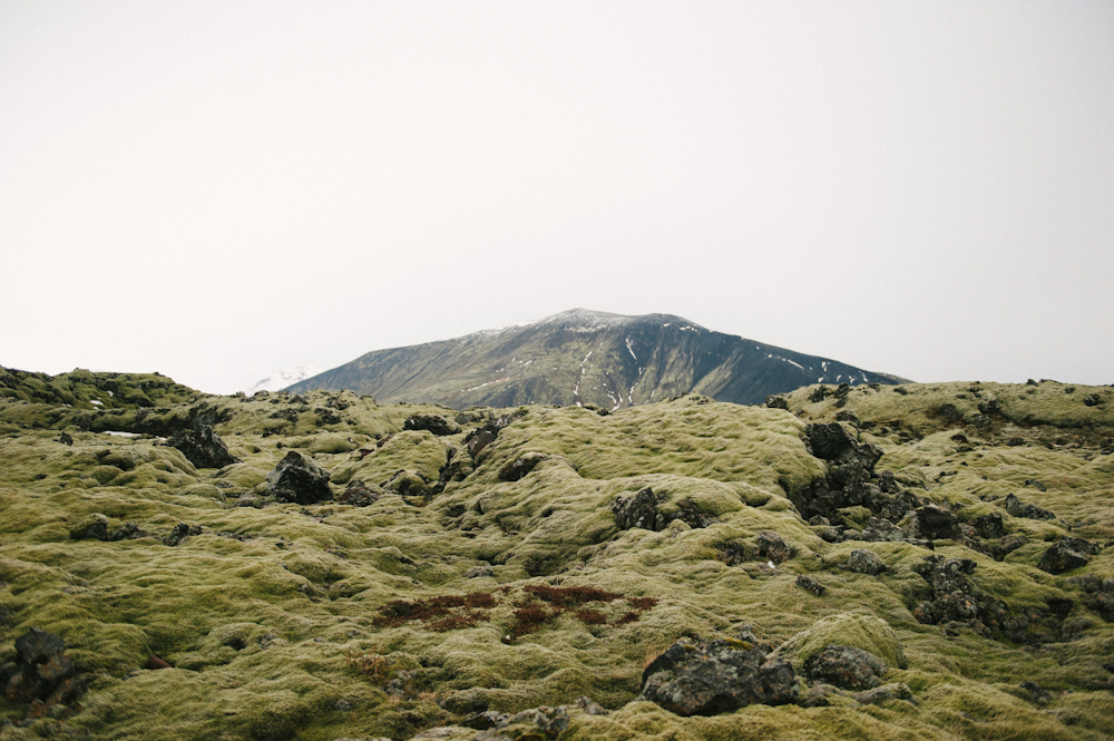 Daring Wanderer Photography - Daring Wanderer - Iceland - Iceland Photographer - Iceland Wedding Photographer - Travel - Iceland Travel Photographer - Iceland Travel Photography - Reykjavik, Iceland - Reykjavik Photography - Travel Photography - Iceland Lifestyle Session - Iceland Lifestyle Photography