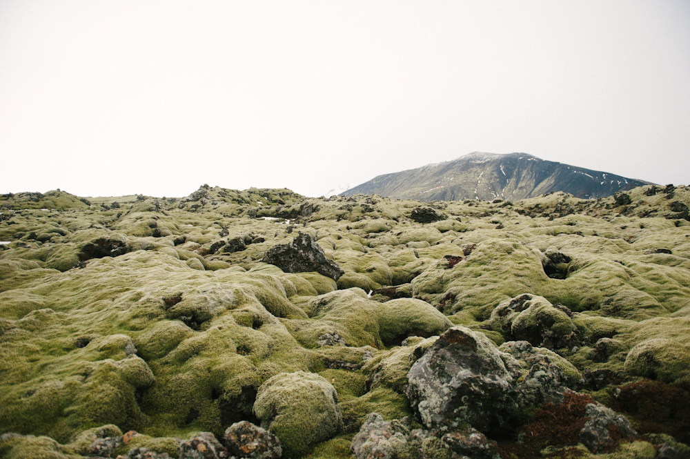 Daring Wanderer Photography - Daring Wanderer - Iceland - Iceland Photographer - Iceland Wedding Photographer - Travel - Iceland Travel Photographer - Iceland Travel Photography - Reykjavik, Iceland - Reykjavik Photography - Travel Photography - Iceland Lifestyle Session - Iceland Lifestyle Photography