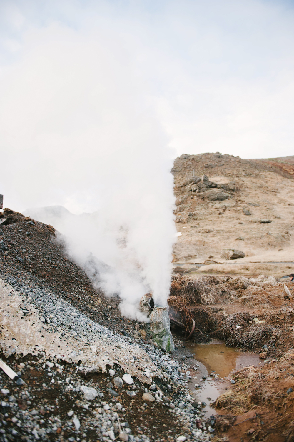 Daring Wanderer Photography - Daring Wanderer - Iceland - Iceland Photographer - Iceland Wedding Photographer - Travel - Iceland Travel Photographer - Iceland Travel Photography - Reykjavik, Iceland - Reykjavik Photography - Travel Photography - Iceland Lifestyle Session - Iceland Lifestyle Photography