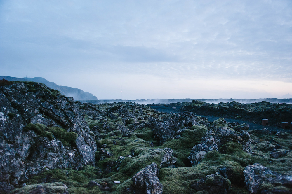 Daring Wanderer Photography - Daring Wanderer - Iceland - Iceland Photographer - Iceland Wedding Photographer - Travel - Iceland Travel Photographer - Iceland Travel Photography - Reykjavik, Iceland - Reykjavik Photography - Travel Photography - Iceland Lifestyle Session - Iceland Lifestyle Photography