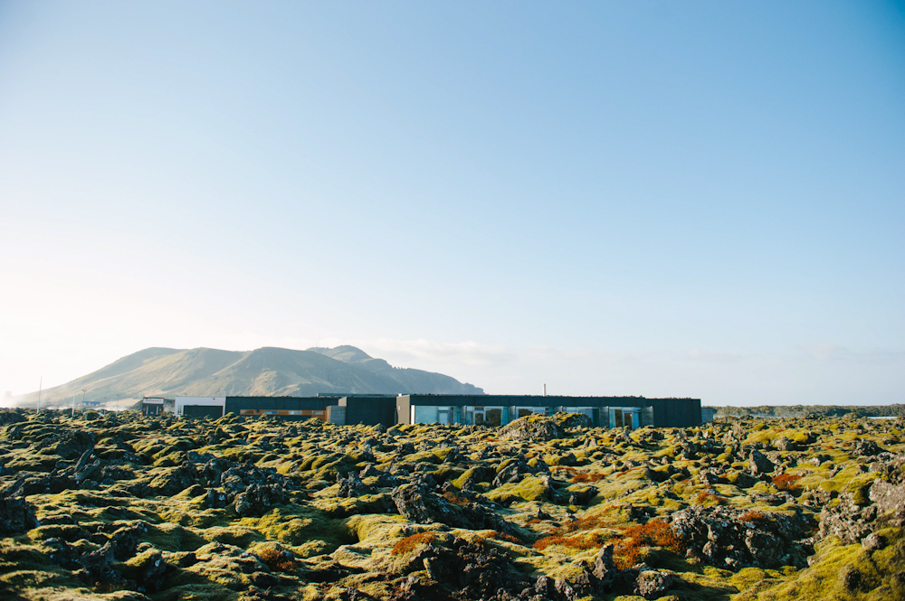 Daring Wanderer Photography - Daring Wanderer - Iceland - Iceland Photographer - Iceland Wedding Photographer - Travel - Iceland Travel Photographer - Iceland Travel Photography - Reykjavik, Iceland - Reykjavik Photography - Travel Photography - Iceland Lifestyle Session - Iceland Lifestyle Photography