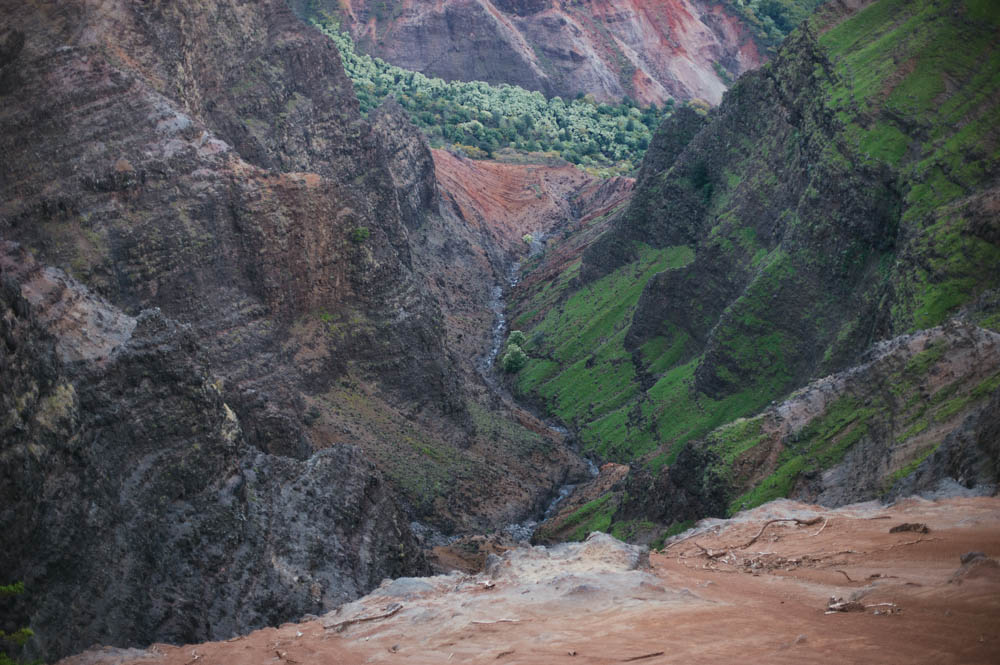 Daring Wanderer Photography - Daring Wanderer - Travel Photography - Kauai Travel Photography - Kauai - Hawaii - Kalalau Trail - Kalalau Beach - Na Pali Coast - Hawaiian beach - Hawaiian sunset - Waimea Canyon - Poipu Beach - Kauai Coffee Company - Coffee Plantation - Kauai Coffee - Coffee plant