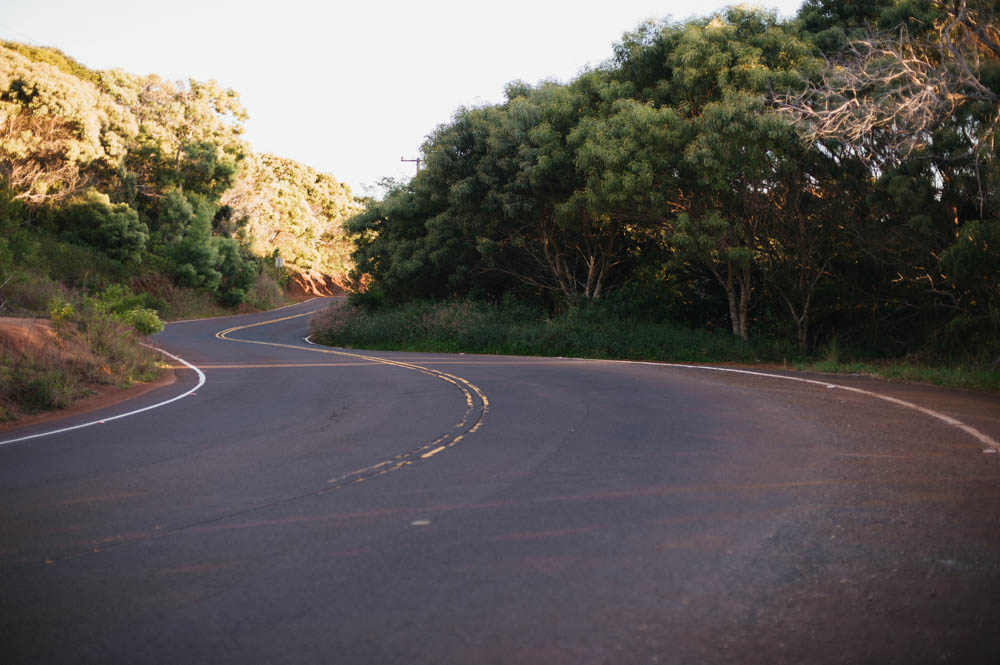 Daring Wanderer Photography - Daring Wanderer - Travel Photography - Kauai Travel Photography - Kauai - Hawaii - Kalalau Trail - Kalalau Beach - Na Pali Coast - Hawaiian beach - Hawaiian sunset - Waimea Canyon - Poipu Beach - Kauai Coffee Company - Coffee Plantation - Kauai Coffee - Coffee plant