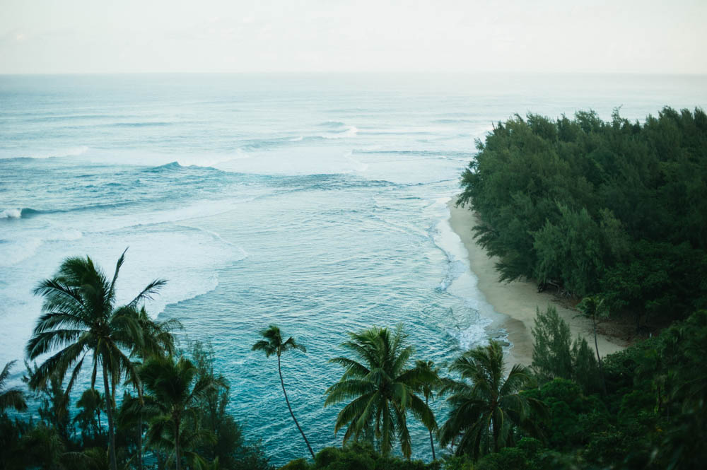 Daring Wanderer Photography - Daring Wanderer - Travel Photography - Kauai Travel Photography - Kauai - Hawaii - Kalalau Trail - Kalalau Beach - Na Pali Coast - Hawaiian beach - Hawaiian sunset - Waimea Canyon - Poipu Beach - Kauai Coffee Company - Coffee Plantation - Kauai Coffee - Coffee plant