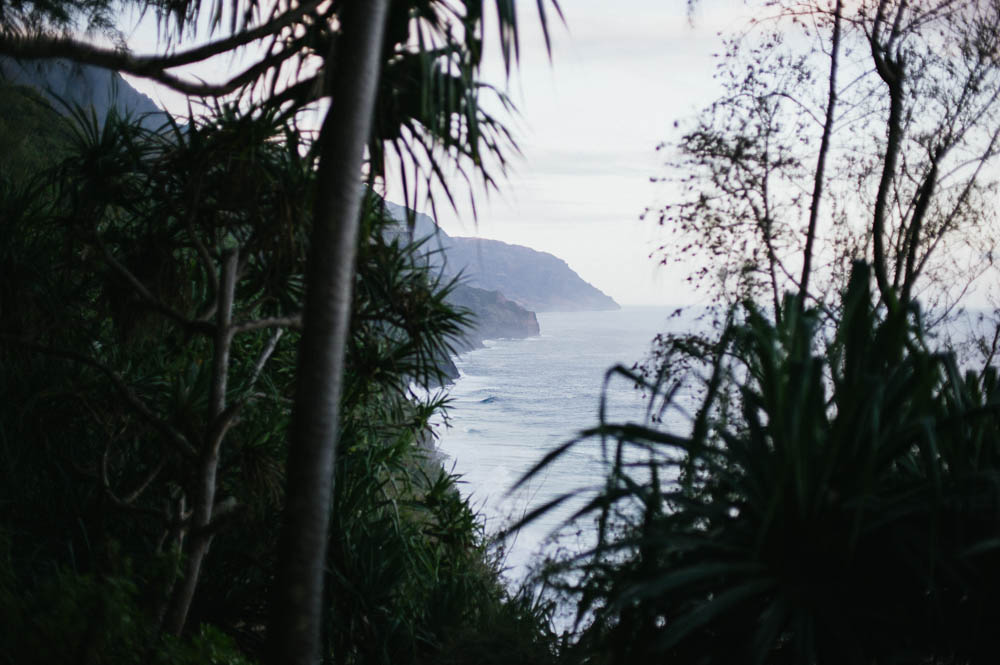 Daring Wanderer Photography - Daring Wanderer - Travel Photography - Kauai Travel Photography - Kauai - Hawaii - Kalalau Trail - Kalalau Beach - Na Pali Coast - Hawaiian beach - Hawaiian sunset - Waimea Canyon - Poipu Beach - Kauai Coffee Company - Coffee Plantation - Kauai Coffee - Coffee plant