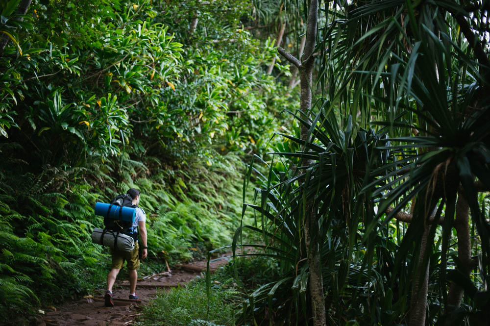 Daring Wanderer Photography - Daring Wanderer - Travel Photography - Kauai Travel Photography - Kauai - Hawaii - Kalalau Trail - Kalalau Beach - Na Pali Coast - Hawaiian beach - Hawaiian sunset - Waimea Canyon - Poipu Beach - Kauai Coffee Company - Coffee Plantation - Kauai Coffee - Coffee plant