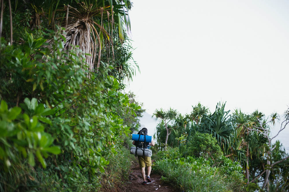 Daring Wanderer Photography - Daring Wanderer - Travel Photography - Kauai Travel Photography - Kauai - Hawaii - Kalalau Trail - Kalalau Beach - Na Pali Coast - Hawaiian beach - Hawaiian sunset - Waimea Canyon - Poipu Beach - Kauai Coffee Company - Coffee Plantation - Kauai Coffee - Coffee plant