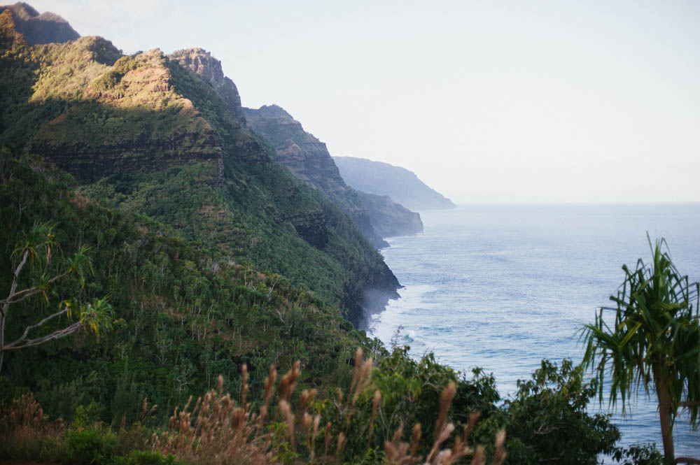 Daring Wanderer Photography - Daring Wanderer - Travel Photography - Kauai Travel Photography - Kauai - Hawaii - Kalalau Trail - Kalalau Beach - Na Pali Coast - Hawaiian beach - Hawaiian sunset - Waimea Canyon - Poipu Beach - Kauai Coffee Company - Coffee Plantation - Kauai Coffee - Coffee plant