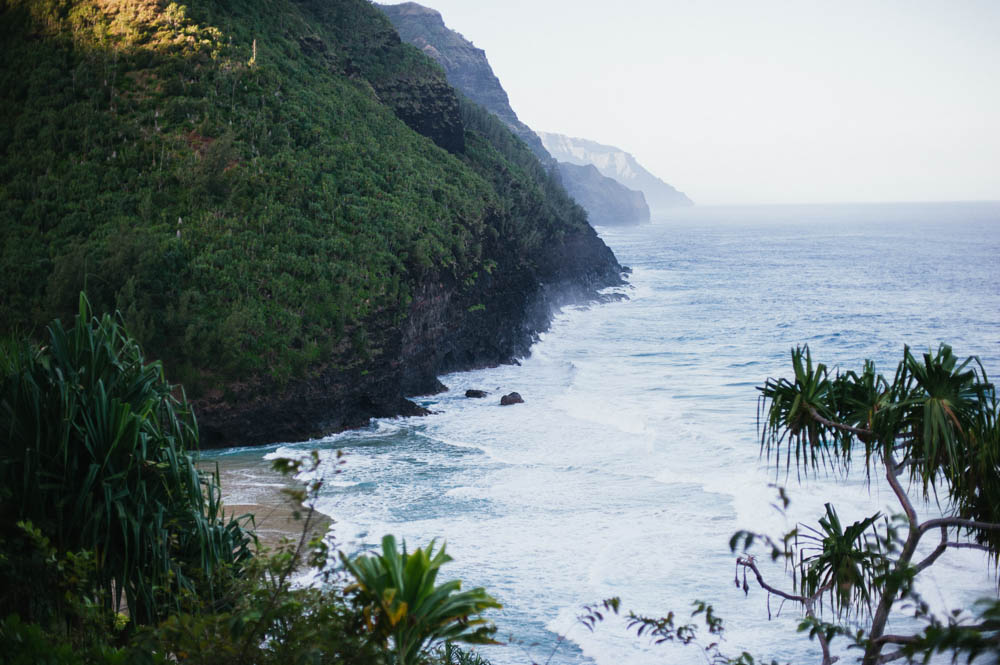 Daring Wanderer Photography - Daring Wanderer - Travel Photography - Kauai Travel Photography - Kauai - Hawaii - Kalalau Trail - Kalalau Beach - Na Pali Coast - Hawaiian beach - Hawaiian sunset - Waimea Canyon - Poipu Beach - Kauai Coffee Company - Coffee Plantation - Kauai Coffee - Coffee plant