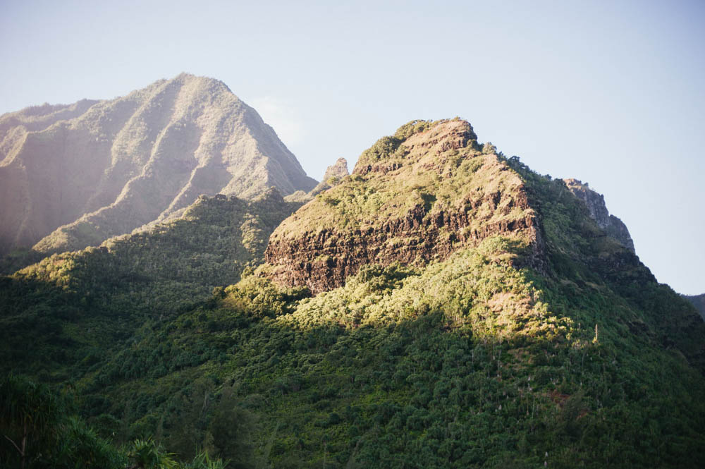 Daring Wanderer Photography - Daring Wanderer - Travel Photography - Kauai Travel Photography - Kauai - Hawaii - Kalalau Trail - Kalalau Beach - Na Pali Coast - Hawaiian beach - Hawaiian sunset - Waimea Canyon - Poipu Beach - Kauai Coffee Company - Coffee Plantation - Kauai Coffee - Coffee plant