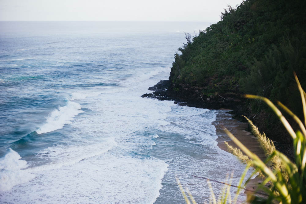 Daring Wanderer Photography - Daring Wanderer - Travel Photography - Kauai Travel Photography - Kauai - Hawaii - Kalalau Trail - Kalalau Beach - Na Pali Coast - Hawaiian beach - Hawaiian sunset - Waimea Canyon - Poipu Beach - Kauai Coffee Company - Coffee Plantation - Kauai Coffee - Coffee plant