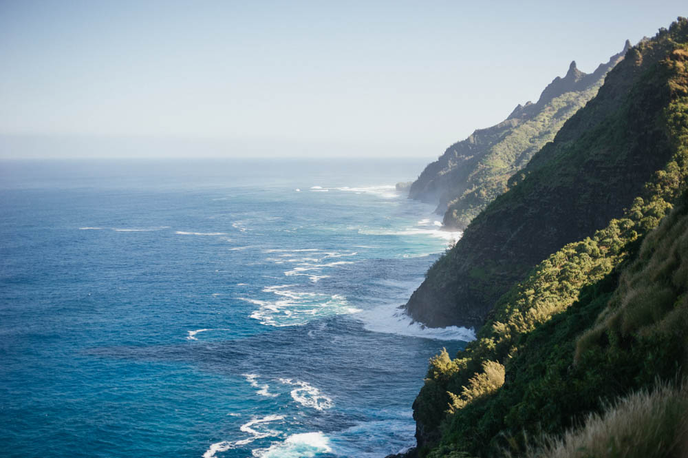 Daring Wanderer Photography - Daring Wanderer - Travel Photography - Kauai Travel Photography - Kauai - Hawaii - Kalalau Trail - Kalalau Beach - Na Pali Coast - Hawaiian beach - Hawaiian sunset - Waimea Canyon - Poipu Beach - Kauai Coffee Company - Coffee Plantation - Kauai Coffee - Coffee plant