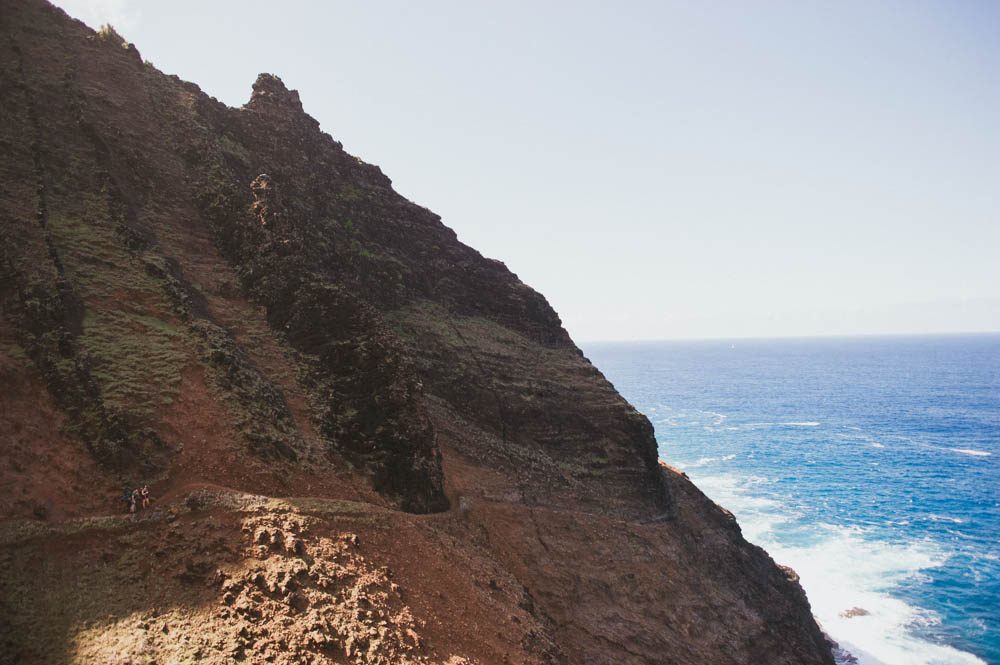 Daring Wanderer Photography - Daring Wanderer - Travel Photography - Kauai Travel Photography - Kauai - Hawaii - Kalalau Trail - Kalalau Beach - Na Pali Coast - Hawaiian beach - Hawaiian sunset - Waimea Canyon - Poipu Beach - Kauai Coffee Company - Coffee Plantation - Kauai Coffee - Coffee plant