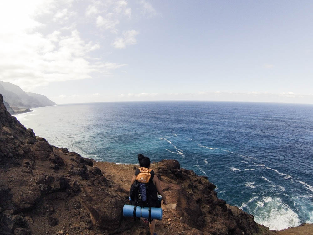 Daring Wanderer Photography - Daring Wanderer - Travel Photography - Kauai Travel Photography - Kauai - Hawaii - Kalalau Trail - Kalalau Beach - Na Pali Coast - Hawaiian beach - Hawaiian sunset - Waimea Canyon - Poipu Beach - Kauai Coffee Company - Coffee Plantation - Kauai Coffee - Coffee plant