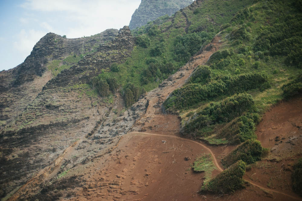 Daring Wanderer Photography - Daring Wanderer - Travel Photography - Kauai Travel Photography - Kauai - Hawaii - Kalalau Trail - Kalalau Beach - Na Pali Coast - Hawaiian beach - Hawaiian sunset - Waimea Canyon - Poipu Beach - Kauai Coffee Company - Coffee Plantation - Kauai Coffee - Coffee plant