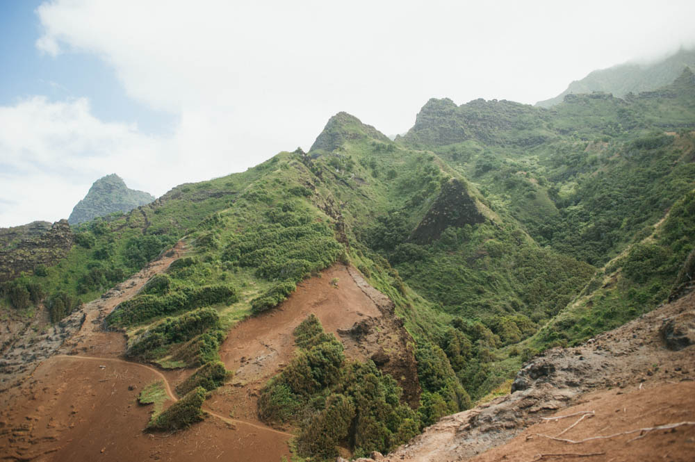 Daring Wanderer Photography - Daring Wanderer - Travel Photography - Kauai Travel Photography - Kauai - Hawaii - Kalalau Trail - Kalalau Beach - Na Pali Coast - Hawaiian beach - Hawaiian sunset - Waimea Canyon - Poipu Beach - Kauai Coffee Company - Coffee Plantation - Kauai Coffee - Coffee plant