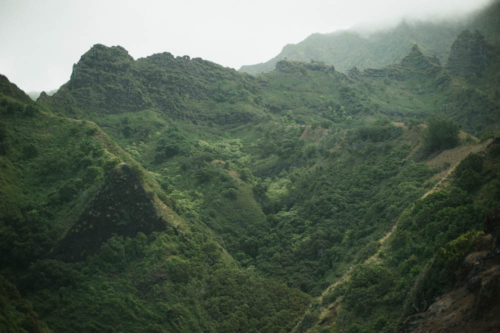 Daring Wanderer Photography - Daring Wanderer - Travel Photography - Kauai Travel Photography - Kauai - Hawaii - Kalalau Trail - Kalalau Beach - Na Pali Coast - Hawaiian beach - Hawaiian sunset - Waimea Canyon - Poipu Beach - Kauai Coffee Company - Coffee Plantation - Kauai Coffee - Coffee plant