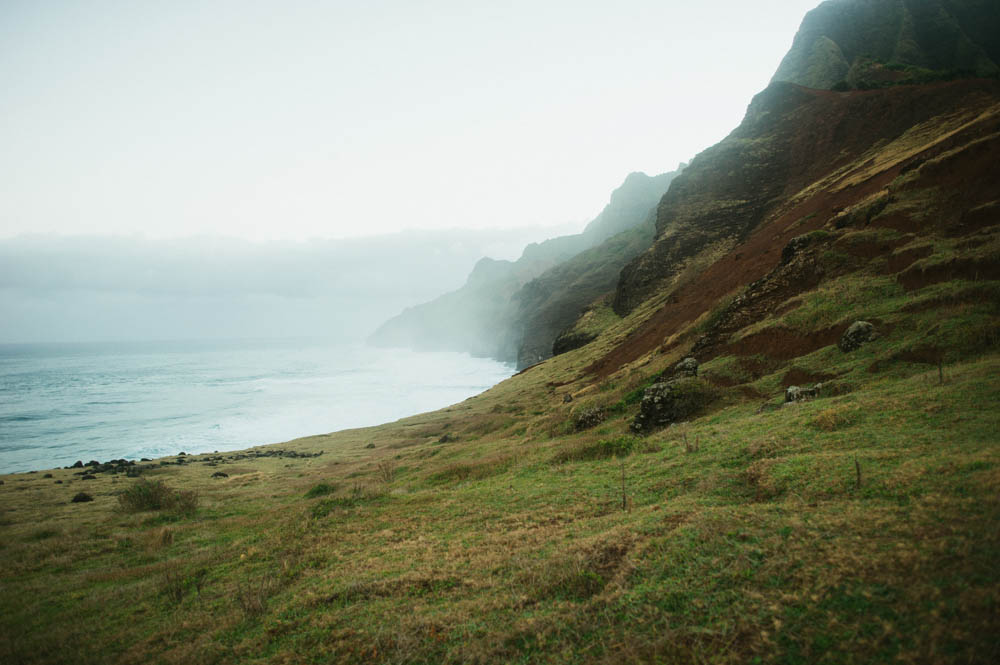 Daring Wanderer Photography - Daring Wanderer - Travel Photography - Kauai Travel Photography - Kauai - Hawaii - Kalalau Trail - Kalalau Beach - Na Pali Coast - Hawaiian beach - Hawaiian sunset - Waimea Canyon - Poipu Beach - Kauai Coffee Company - Coffee Plantation - Kauai Coffee - Coffee plant