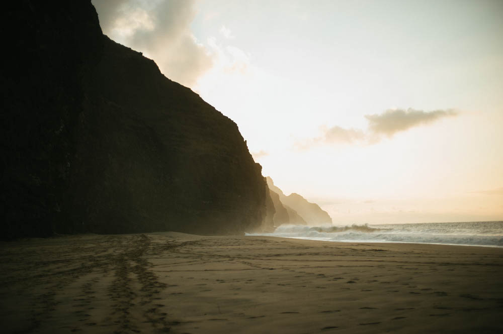 Daring Wanderer Photography - Daring Wanderer - Travel Photography - Kauai Travel Photography - Kauai - Hawaii - Kalalau Trail - Kalalau Beach - Na Pali Coast - Hawaiian beach - Hawaiian sunset - Waimea Canyon - Poipu Beach - Kauai Coffee Company - Coffee Plantation - Kauai Coffee - Coffee plant