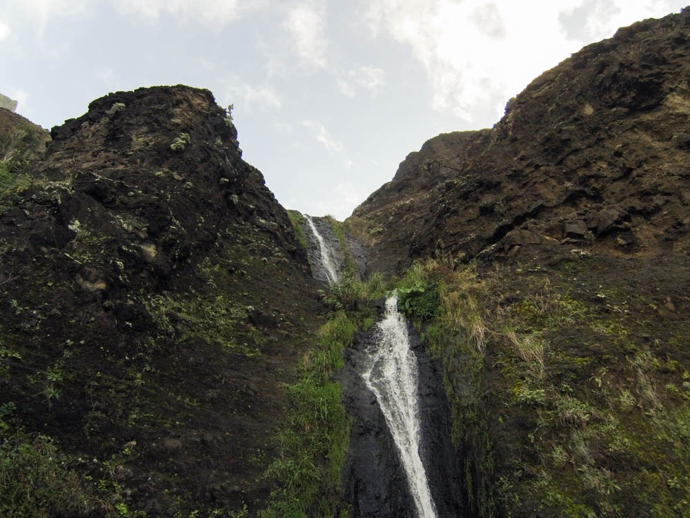 Daring Wanderer Photography - Daring Wanderer - Travel Photography - Kauai Travel Photography - Kauai - Hawaii - Kalalau Trail - Kalalau Beach - Na Pali Coast - Hawaiian beach - Hawaiian sunset - Waimea Canyon - Poipu Beach - Kauai Coffee Company - Coffee Plantation - Kauai Coffee - Coffee plant