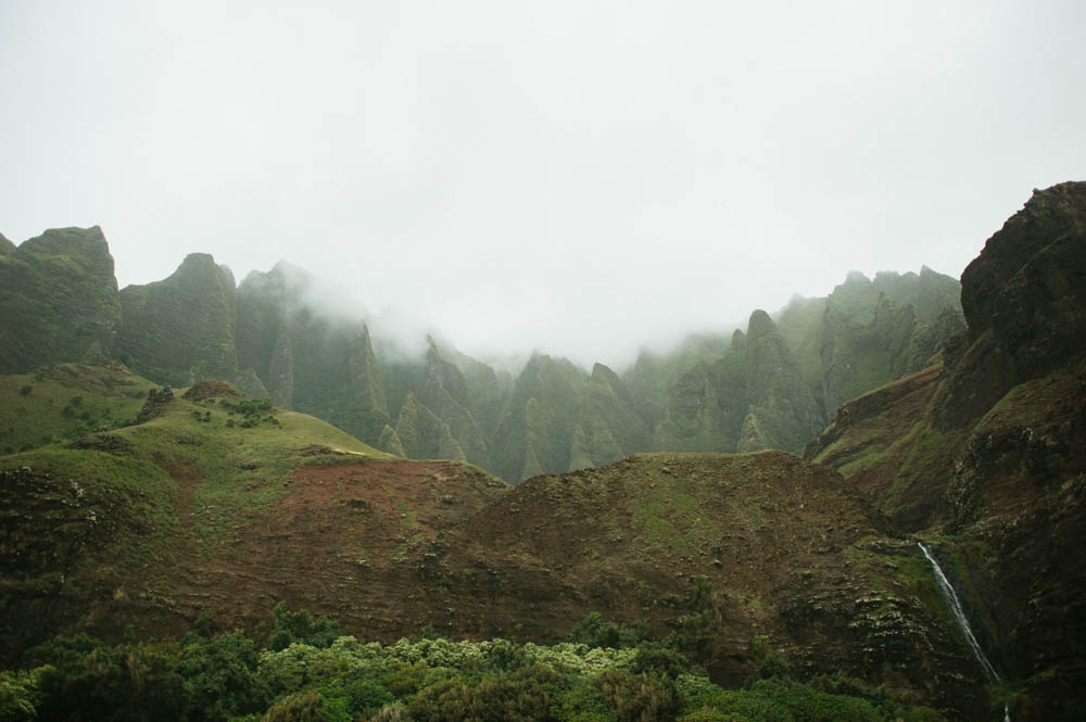 Daring Wanderer Photography - Daring Wanderer - Travel Photography - Kauai Travel Photography - Kauai - Hawaii - Kalalau Trail - Kalalau Beach - Na Pali Coast - Hawaiian beach - Hawaiian sunset - Waimea Canyon - Poipu Beach - Kauai Coffee Company - Coffee Plantation - Kauai Coffee - Coffee plant