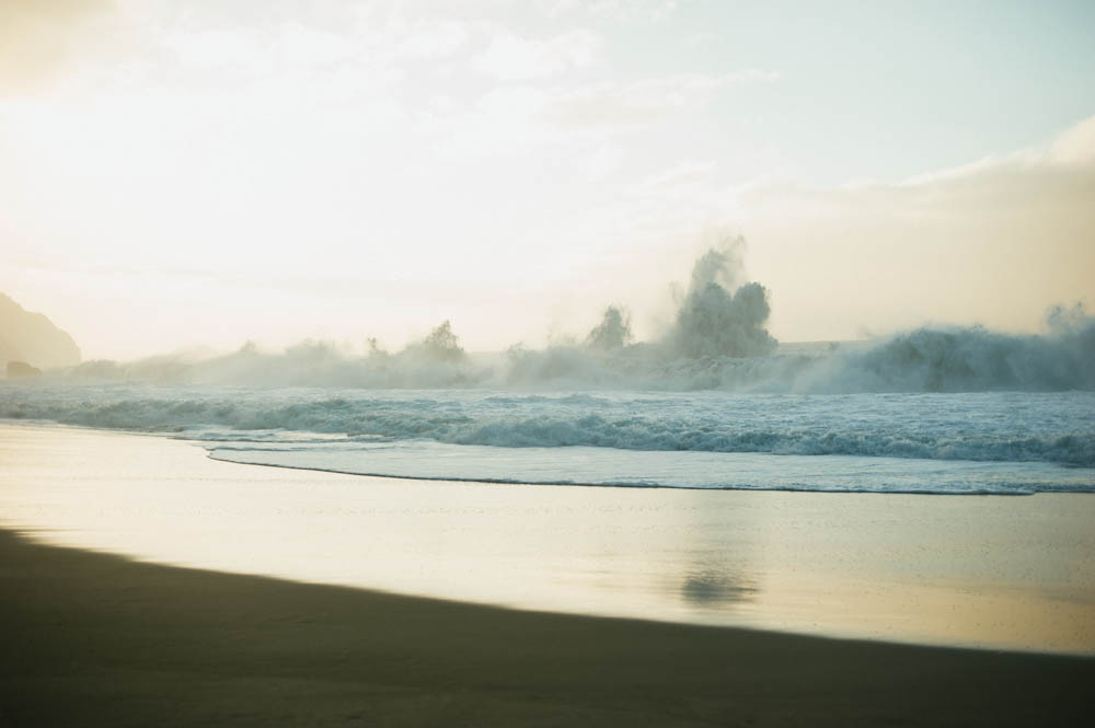 Daring Wanderer Photography - Daring Wanderer - Travel Photography - Kauai Travel Photography - Kauai - Hawaii - Kalalau Trail - Kalalau Beach - Na Pali Coast - Hawaiian beach - Hawaiian sunset - Waimea Canyon - Poipu Beach - Kauai Coffee Company - Coffee Plantation - Kauai Coffee - Coffee plant