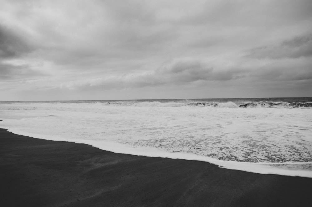 Daring Wanderer Photography - Daring Wanderer - Travel Photography - Kauai Travel Photography - Kauai - Hawaii - Kalalau Trail - Kalalau Beach - Na Pali Coast - Hawaiian beach - Hawaiian sunset - Waimea Canyon - Poipu Beach - Kauai Coffee Company - Coffee Plantation - Kauai Coffee - Coffee plant