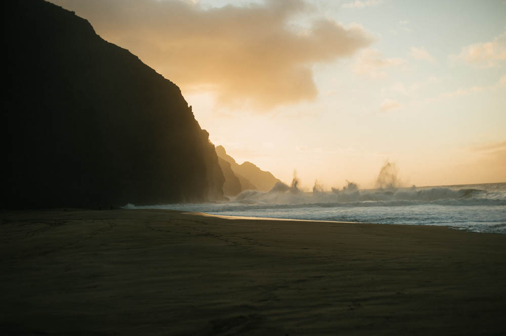 Daring Wanderer Photography - Daring Wanderer - Travel Photography - Kauai Travel Photography - Kauai - Hawaii - Kalalau Trail - Kalalau Beach - Na Pali Coast - Hawaiian beach - Hawaiian sunset - Waimea Canyon - Poipu Beach - Kauai Coffee Company - Coffee Plantation - Kauai Coffee - Coffee plant