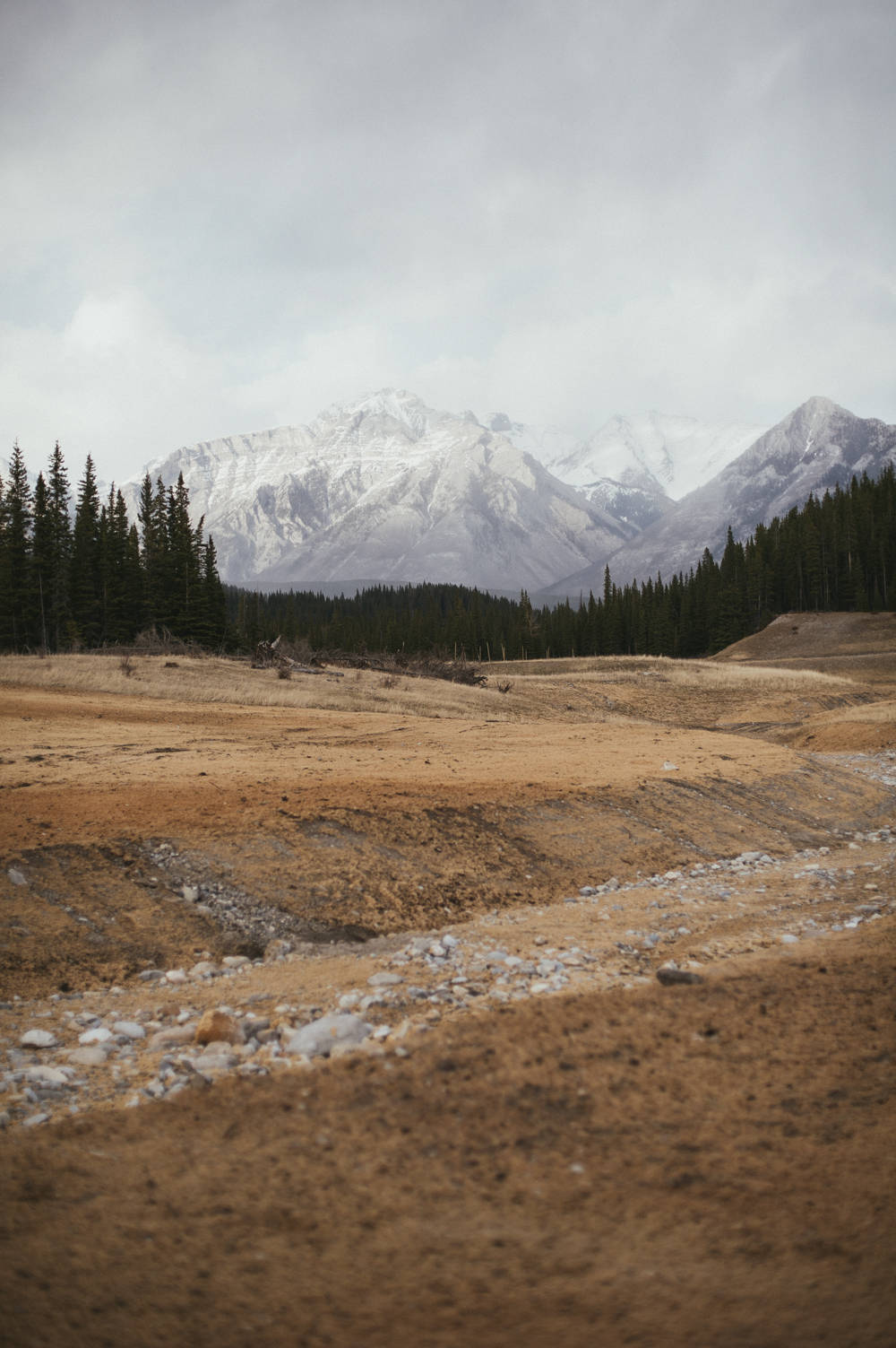 Mountains in Alberta