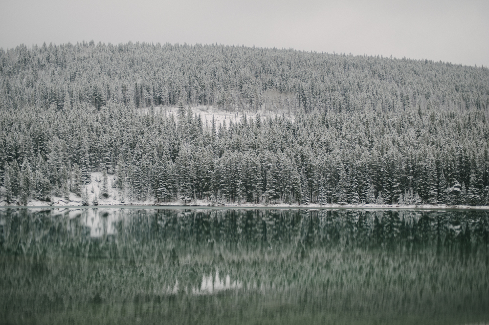 Snow covered tree reflection in calm water at Two Jack lake