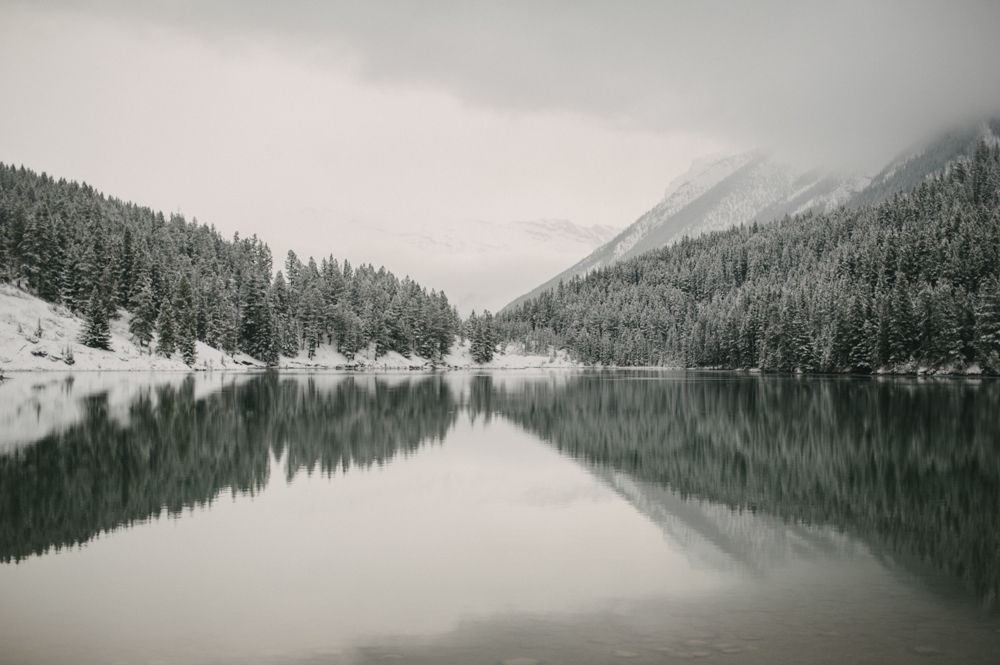 Snow covered tree reflection in calm water at Two Jack lake