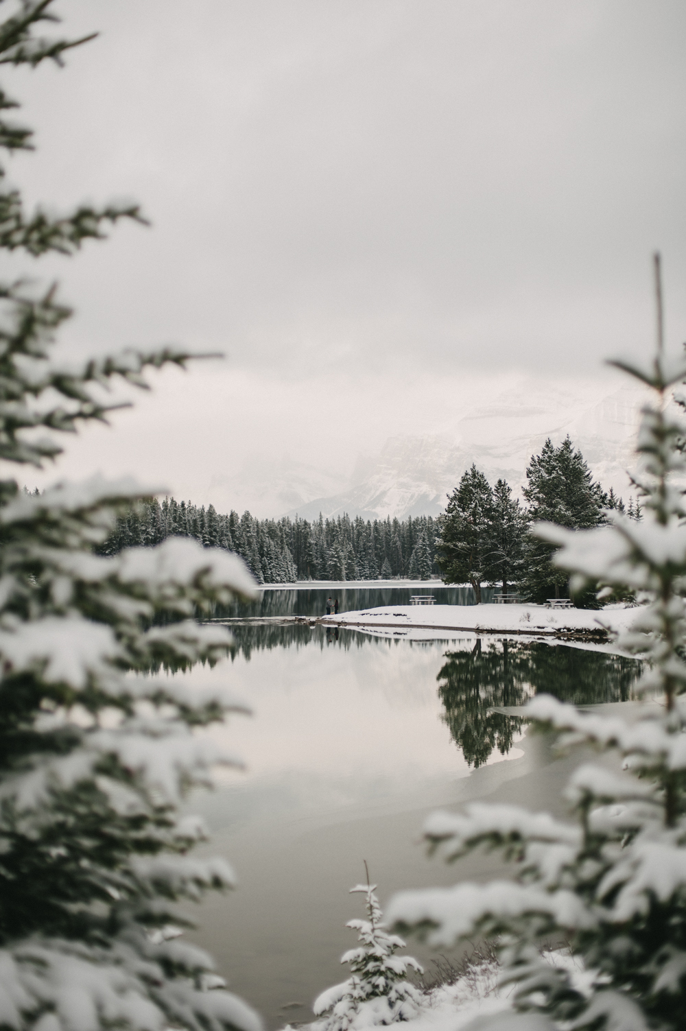 Snow covered tree reflection in calm water at Two Jack lake