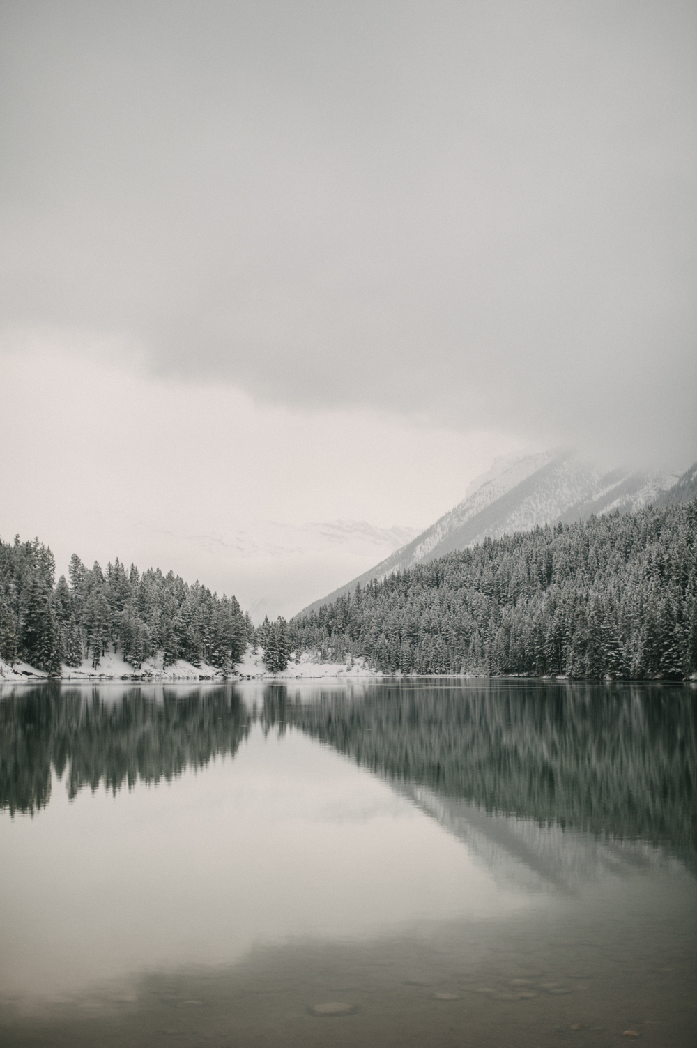 Snow covered tree reflection in calm water at Two Jack lake