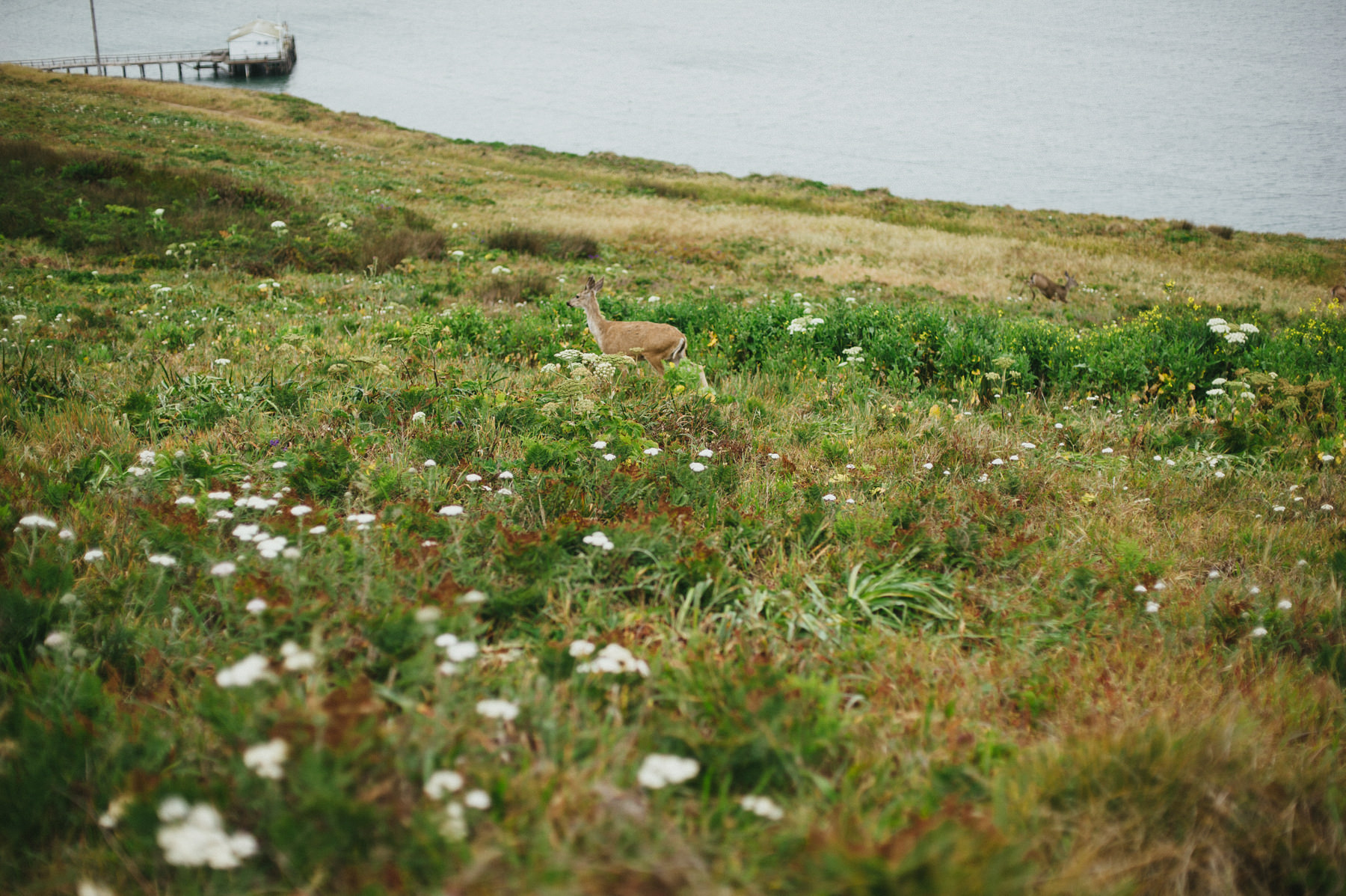 Chimney Rock, Point Reyes Day-Before Session by Daring Wanderer