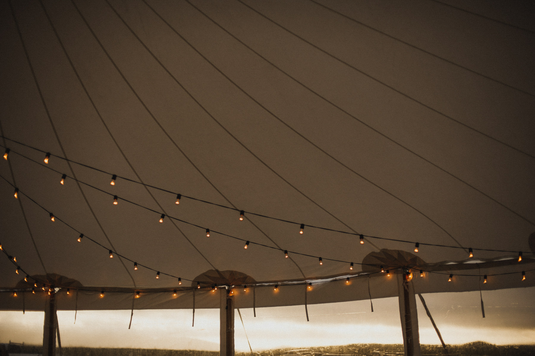 Daring Wanderer Photography - Daring Wanderer - Nicasio Valley - Point Reyes Wedding - California Wedding Photographer - Point Reyes Wedding portraits - Nicasio Valley Wedding - love - wedding portraits - wedding shoot - california - california wedding - wedding dress - temperley london - bohemian wedding - sailcloth tent - tent wedding - diy wedding - san francisco wedding photographer - adventure wedding photographer - travel photography