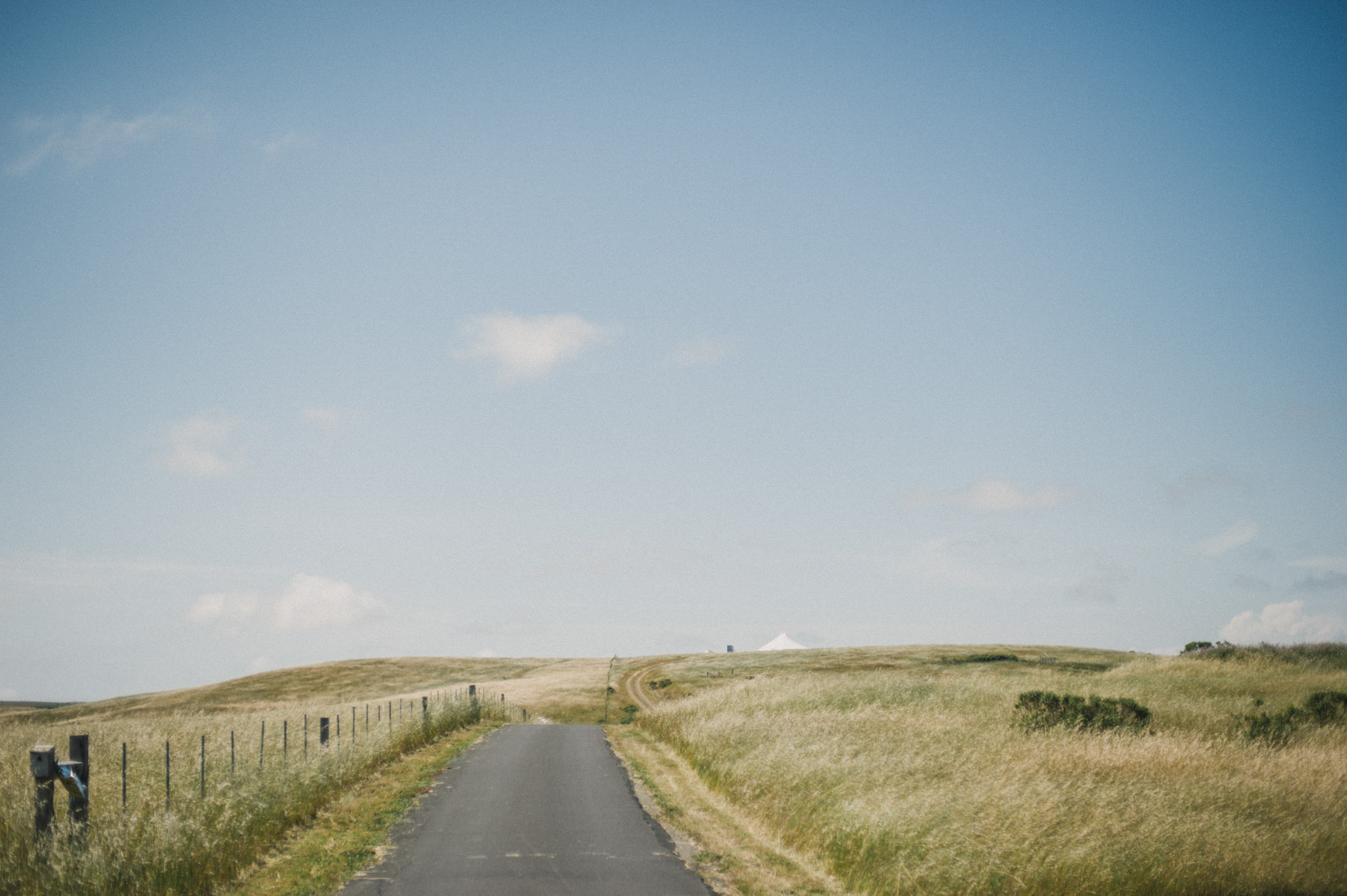 Daring Wanderer Photography - Daring Wanderer - Nicasio Valley - Point Reyes Wedding - California Wedding Photographer - Point Reyes Wedding portraits - Nicasio Valley Wedding - love - wedding portraits - wedding shoot - california - california wedding - wedding dress - temperley london - bohemian wedding - sailcloth tent - tent wedding - diy wedding - san francisco wedding photographer - adventure wedding photographer - travel photography