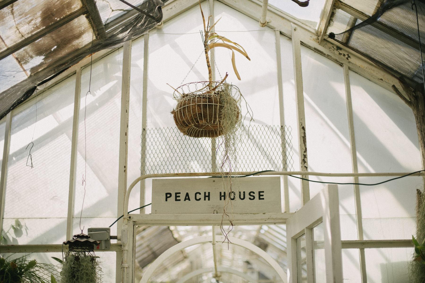 Botanical Greenhouse Wedding at Sonnenberg Gardens // Daring Wanderer