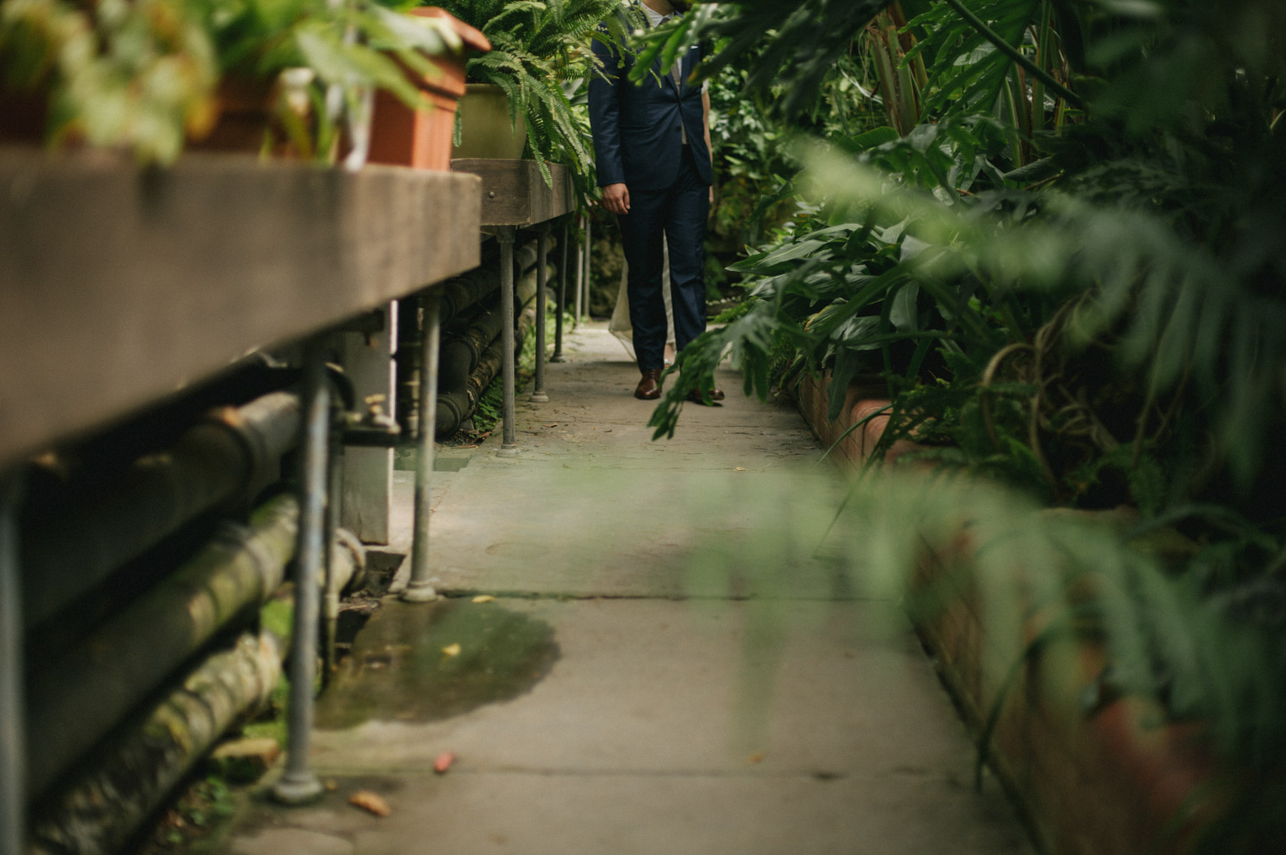 Botanical Greenhouse Wedding at Sonnenberg Gardens // Daring Wanderer