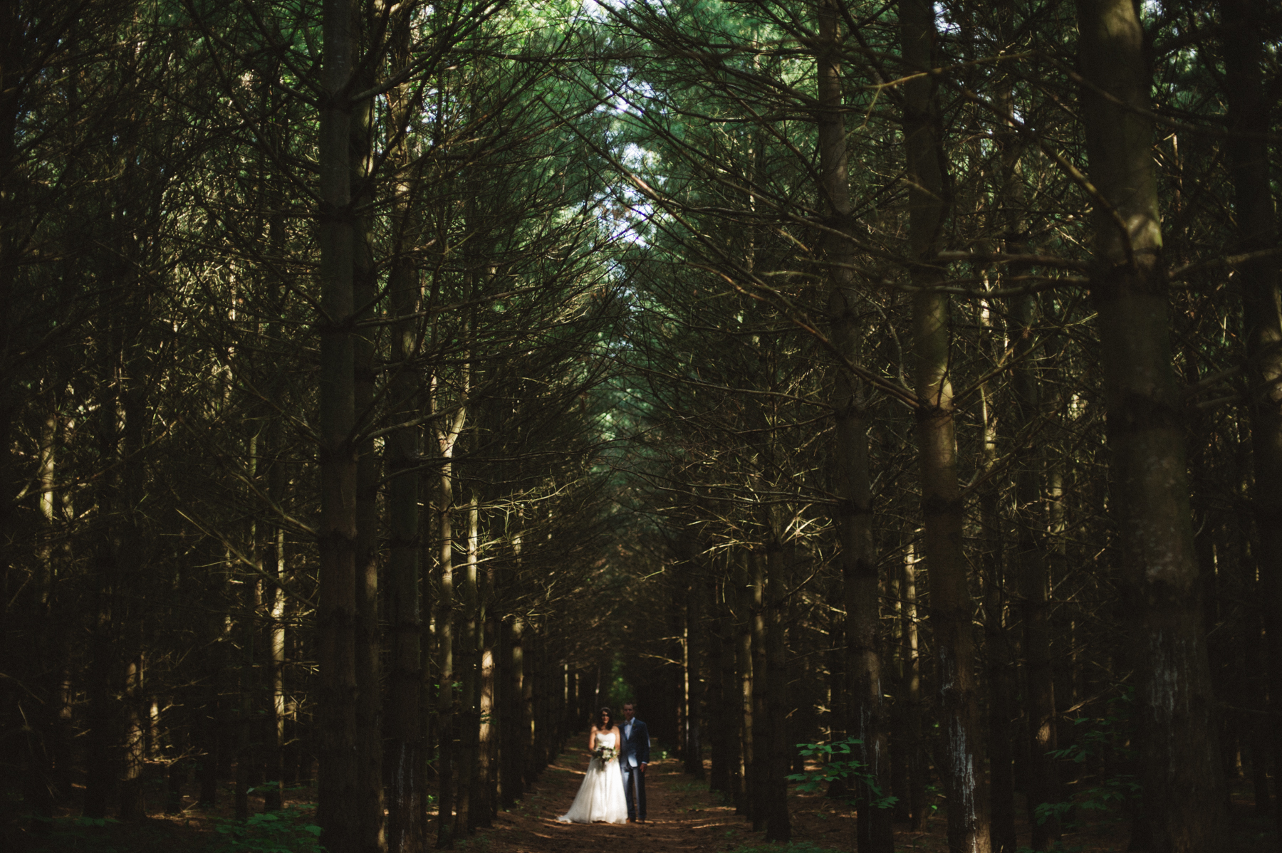 Daring Wanderer Photography - Daring Wanderer - Southampton Wedding Photographer - Sauble Beach Wedding Photographer - Bruce wedding photographer - lake huron wedding - beach wedding inspiration - ontario wedding photographer - intimate wedding - forest wedding portraits - ferns - destination wedding photographer - canadian wedding photographer - top canadian wedding photographer - 