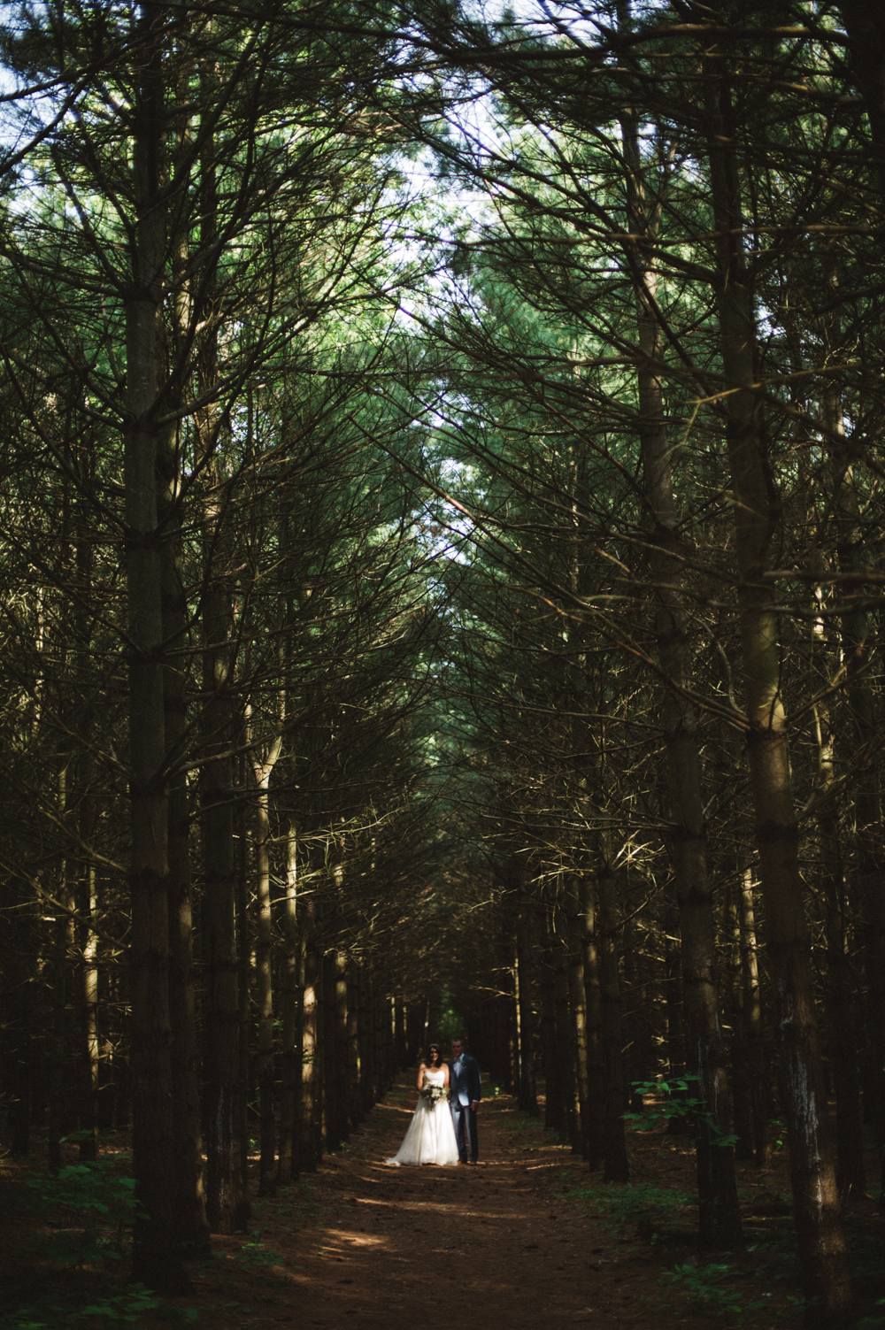 Daring Wanderer Photography - Daring Wanderer - Southampton Wedding Photographer - Sauble Beach Wedding Photographer - Bruce wedding photographer - lake huron wedding - beach wedding inspiration - ontario wedding photographer - intimate wedding - forest wedding portraits - ferns - destination wedding photographer - canadian wedding photographer - top canadian wedding photographer - 