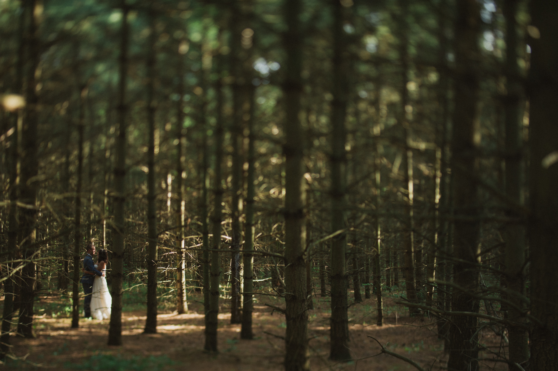 Daring Wanderer Photography - Daring Wanderer - Southampton Wedding Photographer - Sauble Beach Wedding Photographer - Bruce wedding photographer - lake huron wedding - beach wedding inspiration - ontario wedding photographer - intimate wedding - forest wedding portraits - ferns - destination wedding photographer - canadian wedding photographer - top canadian wedding photographer - 