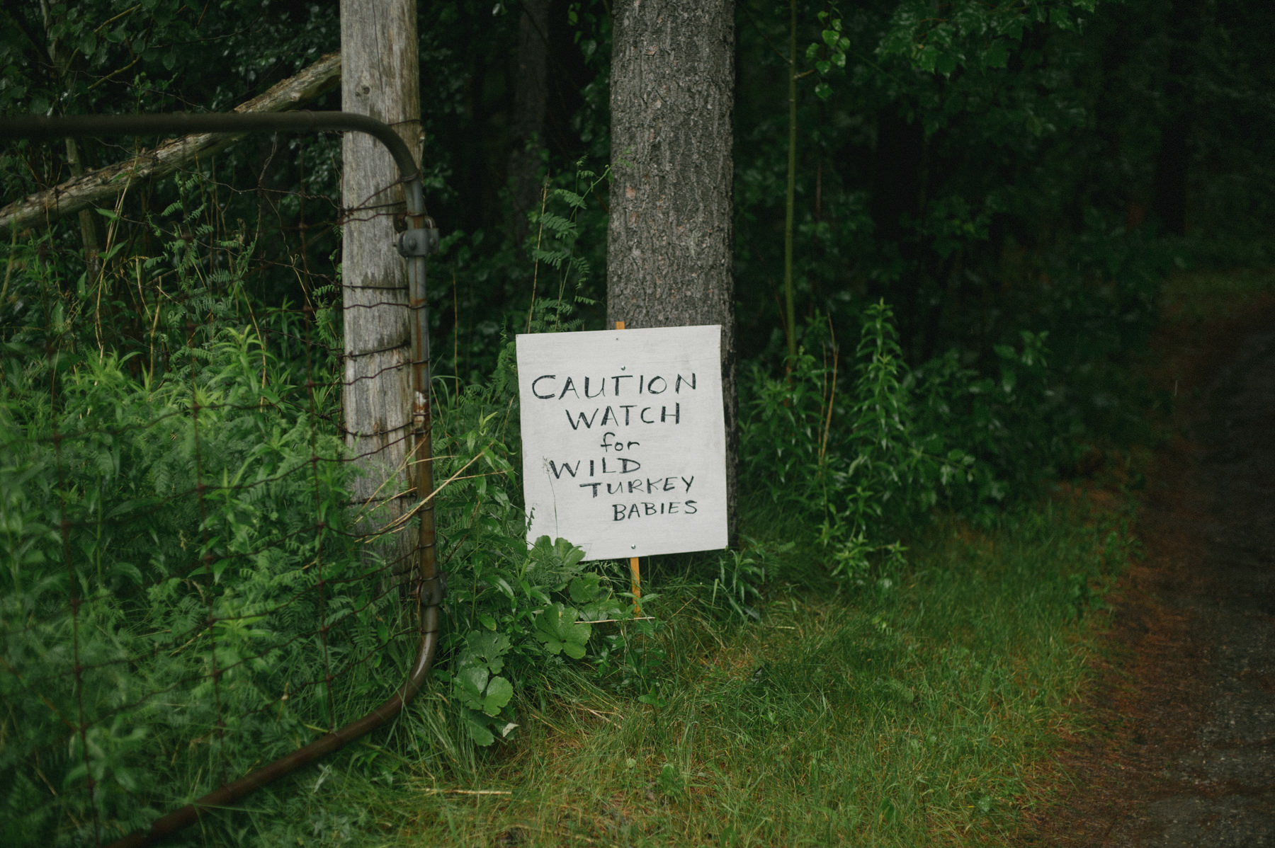 Daring Wanderer. Destination Wedding Photographer // Intimate Skyloft Wedding