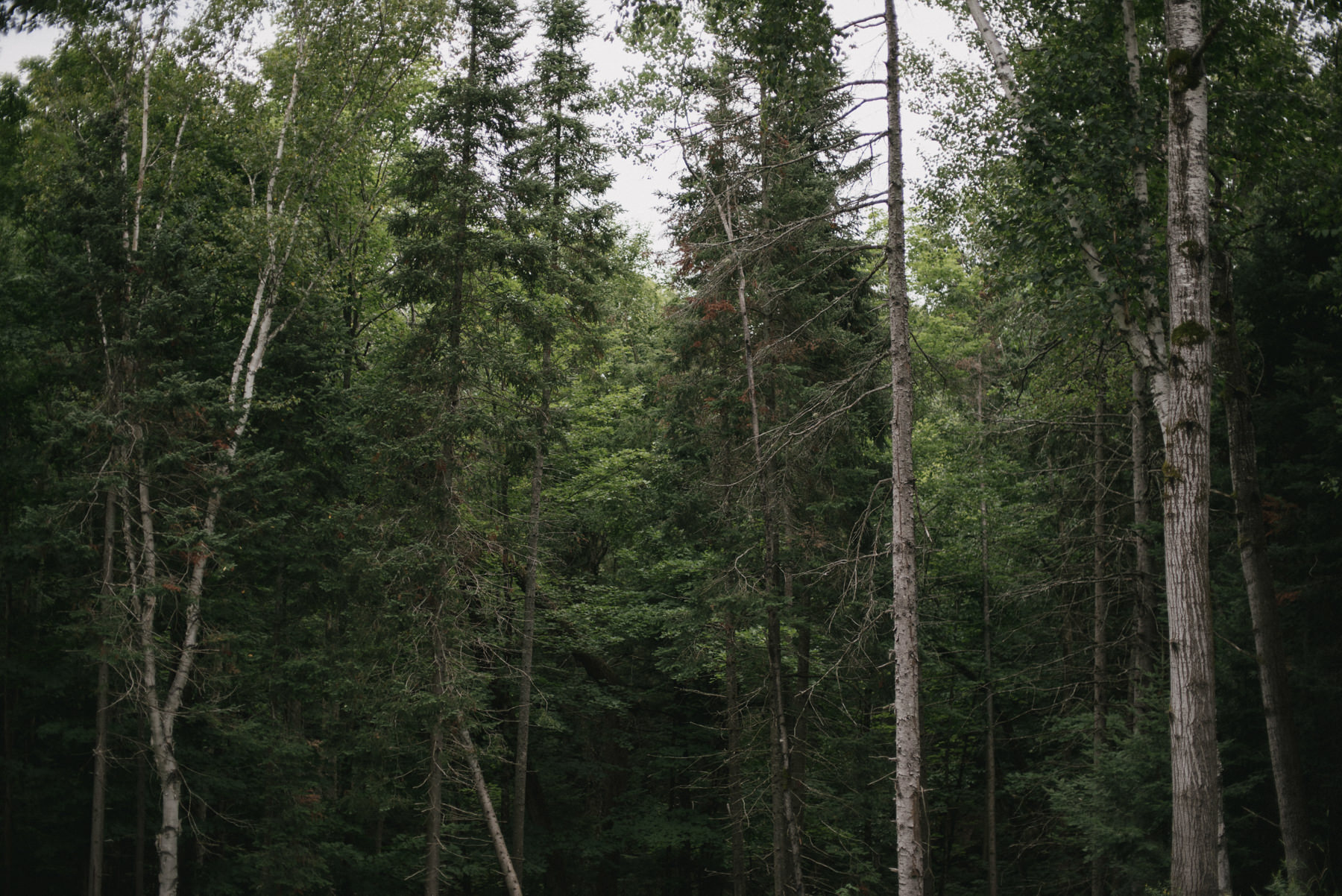 Daring Wanderer Photography - Daring Wanderer - Muskoka wedding photographer - Ontario wedding photographer - northern ontario wedding photographer - ridge at manitou wedding - cottage wedding - intimate cottage wedding