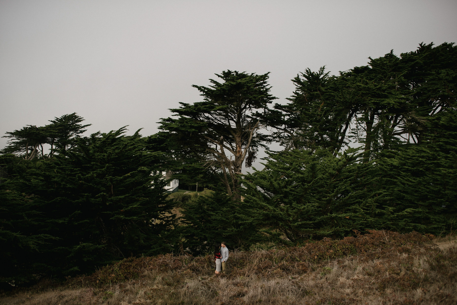 Daring Wanderer Photography - Daring Wanderer - Destination Wedding Photographer - Point Reyes California - Point Reyes Engagement - California wedding photographer - Engagement - Chimney Rock - Limantour Beach - foggy engagement