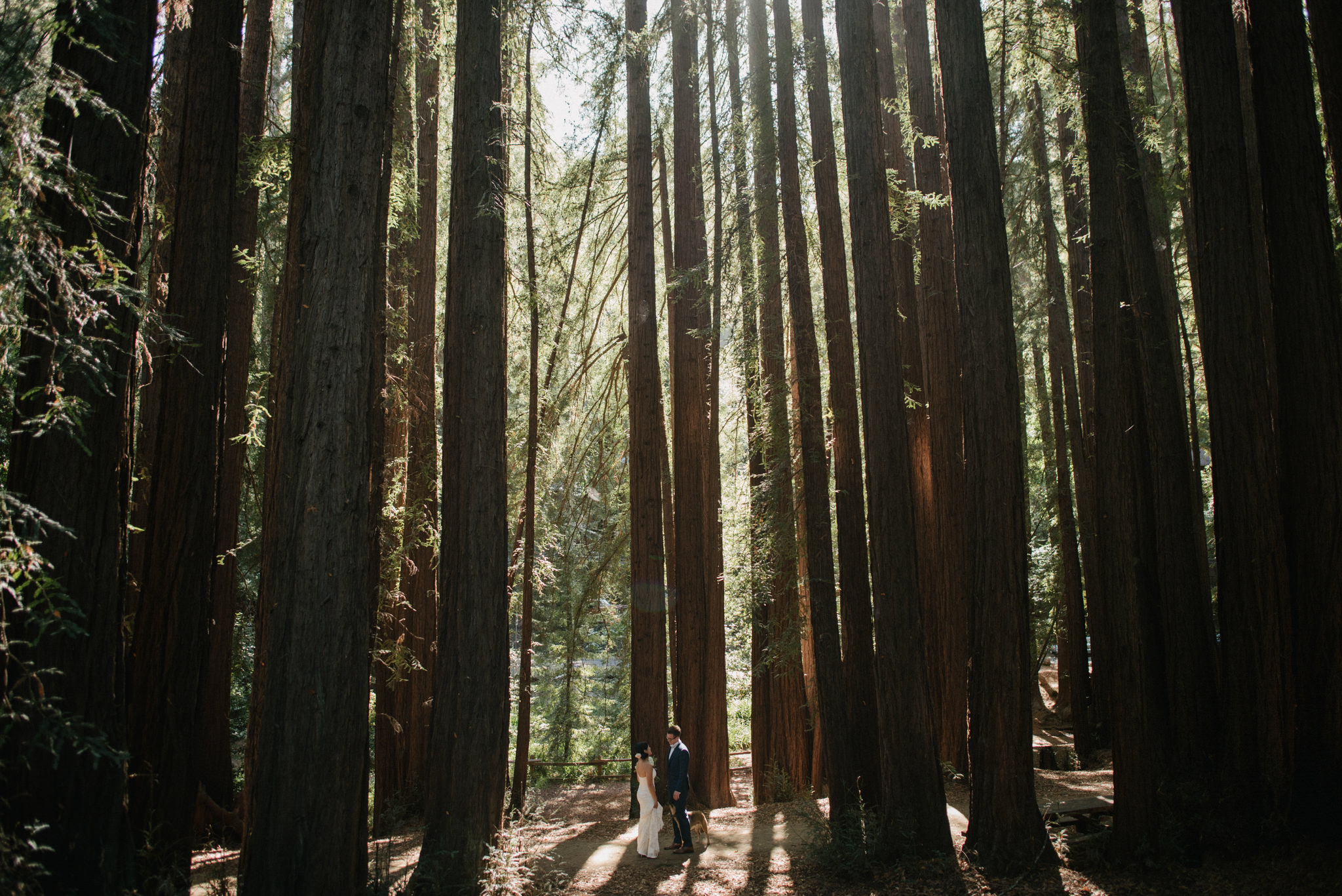 Daring Wanderer Photography - Daring Wanderer - Destination Wedding Photographer - Mill valley wedding photographer - Old Mill Park Wedding - Redwoods wedding - forest wedding ceremony - california wedding photographer - the outdoor arts club wedding