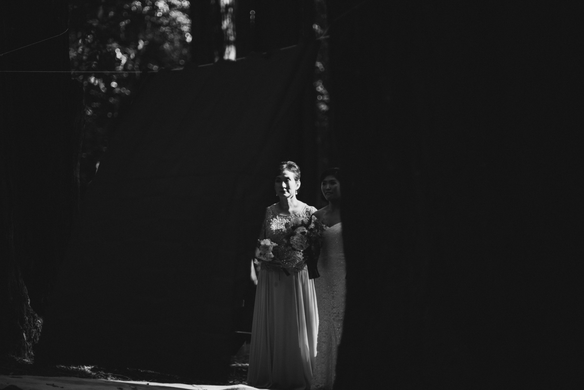 Daring Wanderer Photography - Daring Wanderer - Destination Wedding Photographer - Mill valley wedding photographer - Old Mill Park Wedding - Redwoods wedding - forest wedding ceremony - california wedding photographer - the outdoor arts club wedding