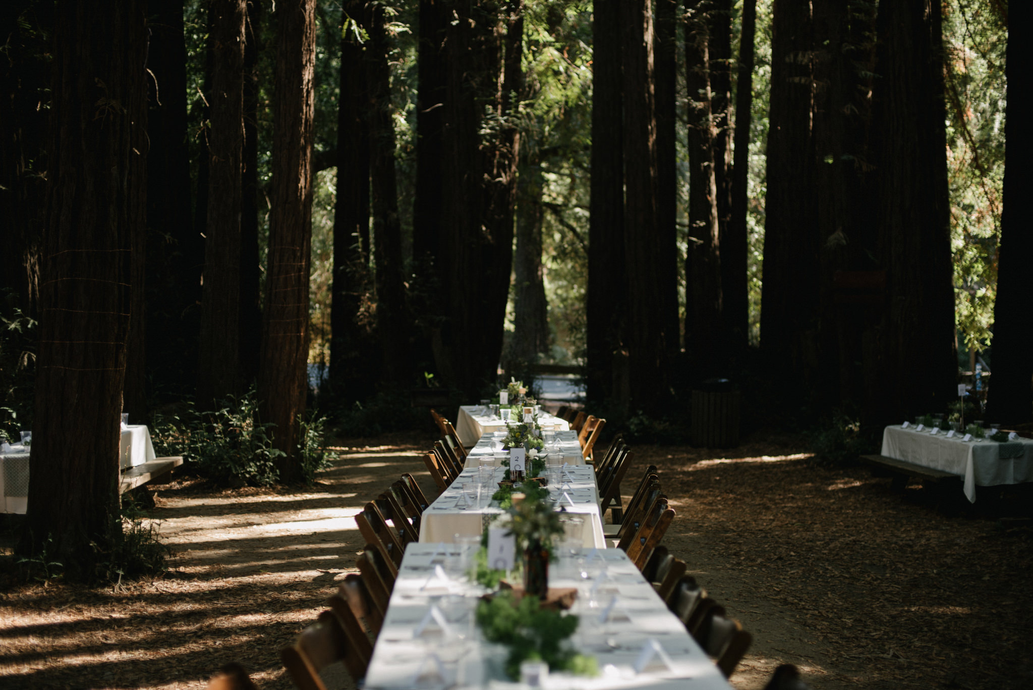 Daring Wanderer Photography - Daring Wanderer - Destination Wedding Photographer - Mill valley wedding photographer - Old Mill Park Wedding - Redwoods wedding - forest wedding ceremony - california wedding photographer - the outdoor arts club wedding