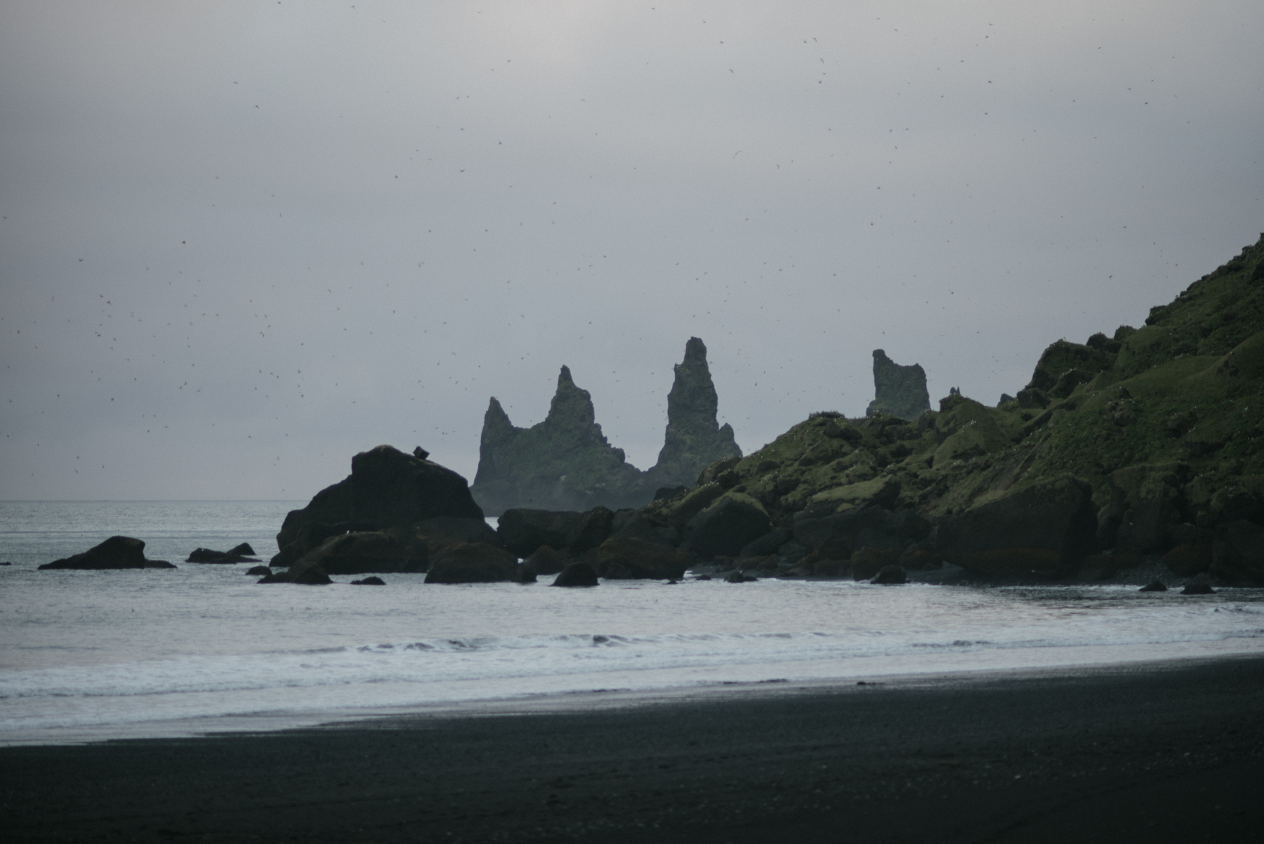 Daring Wanderer Photography - Daring Wanderer - Iceland travel photography - Iceland - West Fjords - Hornstrandir - Hornbjarg - hiking - adventure - explore - camping - mountains - majestic landscapes - Icelandic horses - Icelandic landscape