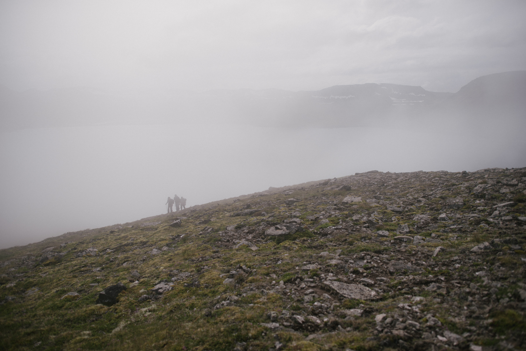 Daring Wanderer Photography - Daring Wanderer - Iceland travel photography - Iceland - West Fjords - Hornstrandir - Hornbjarg - hiking - adventure - explore - camping - mountains - majestic landscapes - Icelandic horses - Icelandic landscape